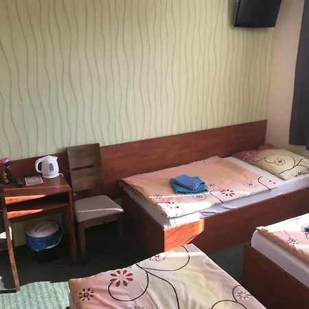 Hokejka Prievidza