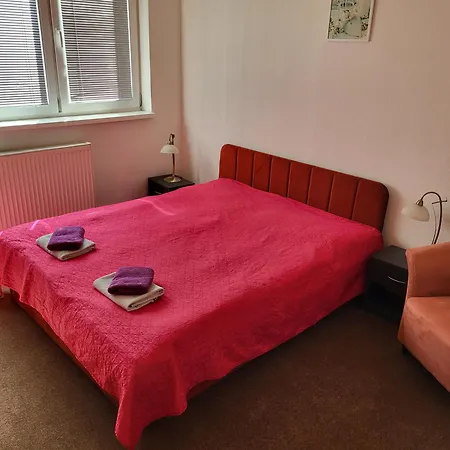 Отель Hokejka *