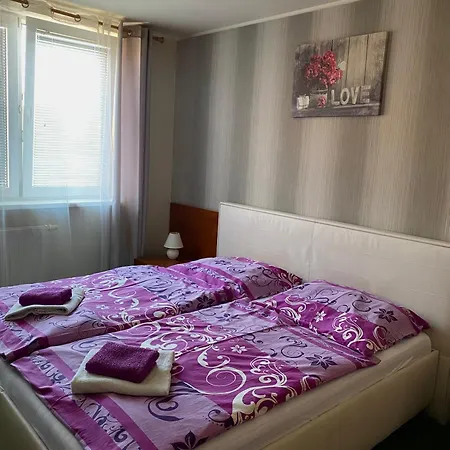 Hokejka Прьевидза