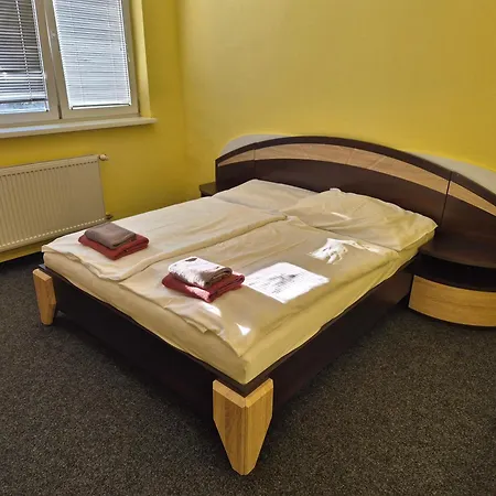 Hokejka Прьевидза