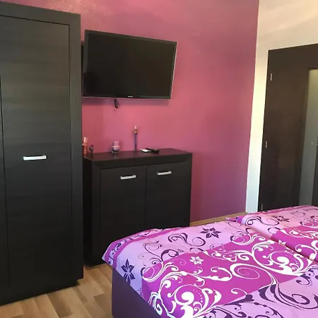 Hokejka Прьевидза